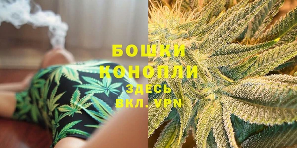 ешки Бронницы