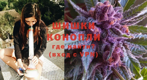 ешки Бронницы
