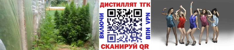 Дистиллят ТГК THC oil  закладка  Старый Оскол 